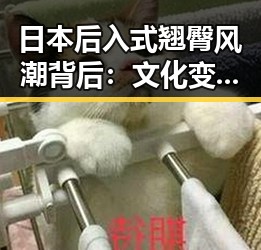 日本后入式翘臀风潮背后：文化变迁与健康话题的交织