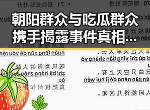 朝阳群众与吃瓜群众携手揭露事件真相全过程回顾